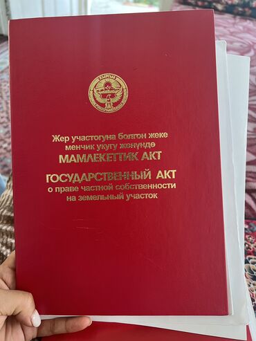 гортензия цена 1 шт бишкек: 5 сот. Жер сатылат шашылыш турдо!
Адрес : Мады а.о. Башбулак айылы