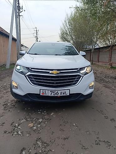 я ищу лобо: Chevrolet Equinox: 2019 г., 2 л, Автомат, Бензин, Кроссовер — 3