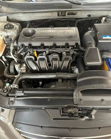 Honda: Honda : 2.4 l | 2011 il Sedan — 19