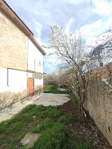 Torpaq sahələrinin satışı: Kənd təsərrüfatı — 8