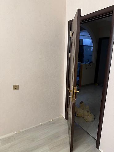 İç qapı – tünd palıd rəngli, şüşə dekorlu model - Material