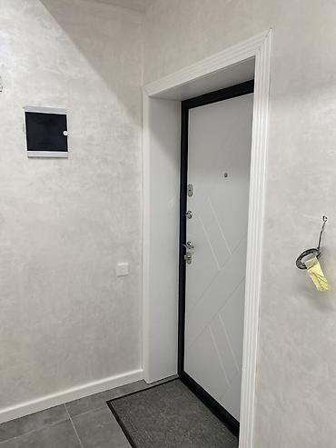 Продажа квартир: 1 комната, 44 м², Индивидуалка, 13 этаж, Свежий ремонт — 5
