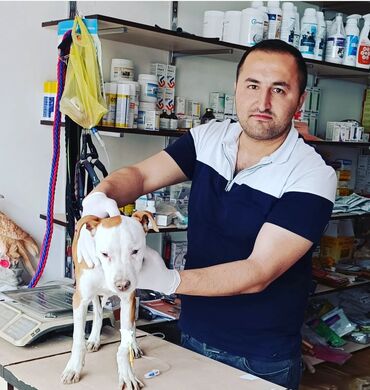Başqa xidmətlər: Mualicə muayinə peyvəndlər bütün nov Baytarliq xidmətləri sualariniz