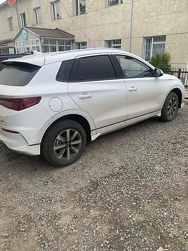 электро машине: BYD E2: 2024 г., Автомат, Электромобиль, Хэтчбэк — 2