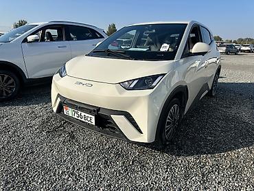 BYD: BYD Seagull: 2023 г., 0.1 л, Автомат, Электромобиль, Хэтчбэк — 2