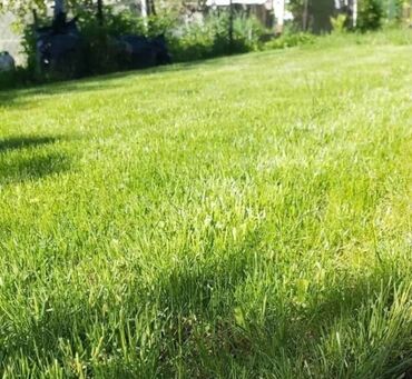 гозоно косилка: 🌿 Посев газона 🌿 Сеем газон 🌿 Озеленение территории 🌿 Ландшафтный