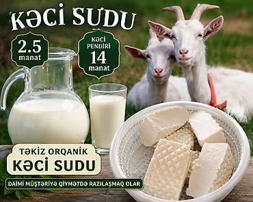 cen su: Təmiz orqanik keçi məhsulları - Keçi südü – 1.5 manat - Keçi pendiri — 3