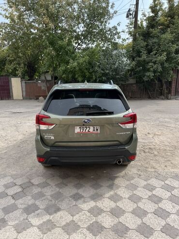 Subaru: Subaru Forester: 2019 г., 2.5 л, Вариатор, Бензин, Кроссовер — 3