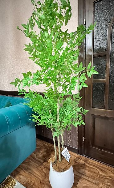 Декоративные цветы: Искусственное дерево в стильном белом кашпо. Идеально для интерьера — 2