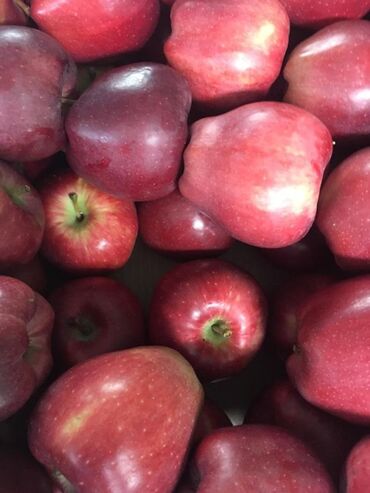 яблоки груши и сливы: Яблоки Крипсон, Оптом