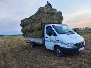 продам ячмень оптом: Продаю клевер
