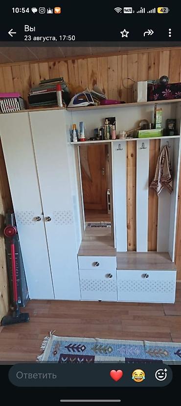 Ev üçün mebel: Yeni, 2 qapılı, Güzgülü, Ağ, Açılan, Düz dolab — 1