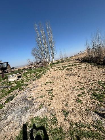 Продажа коттеджей и домов: Продаётся одноэтажный дом с просторным двором и хозяйственными — 6