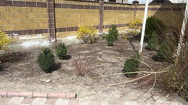 Дворники, садовники: Я Садовник все виды работы Уборка огорода весенний осенний — 6