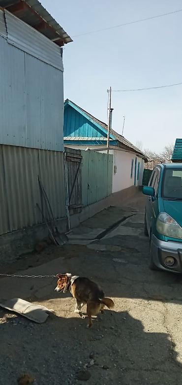 Продажа коттеджей и домов: Продаётся дом 📍 Адрес: Иссык-Кульская область, село Ананьево, ул — 2