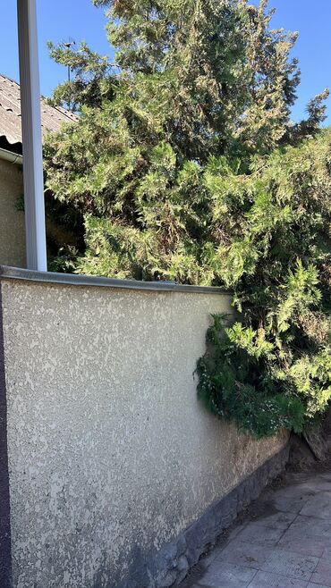 Продажа домов: Дом, 130 м², 5 комнат, Собственник, Евроремонт — 7