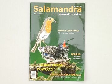 Books, Magazines, CDs, DVDs: Magazine, genre - Educational, language - Polski, condition - Very good