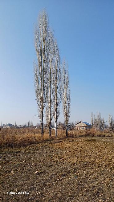 мечит: 4 соток, Курулуш, Кызыл китеп — 1