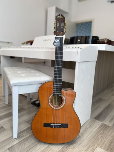 Ukulele: Washburn elektron klassik gitara. Washburn klassik gitara modellərini