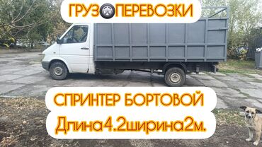 полный спринтер: Легкий грузовик, Mercedes-Benz, 3 т