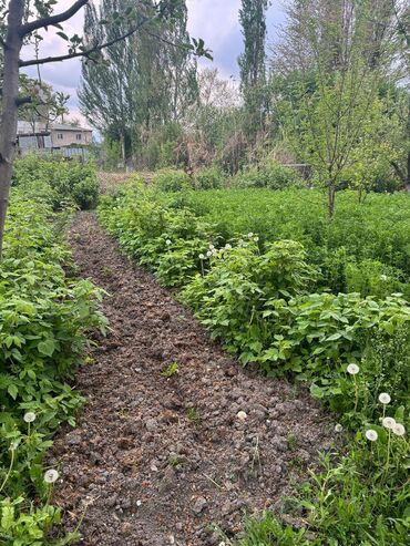 Продажа домов: Дом, 100 м², 5 комнат, Собственник, Евроремонт — 17