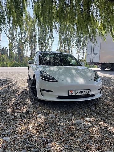 bud e9: Tesla Model 3: 2020 г., 5.5 л, Автомат, Электромобиль, Седан — 2