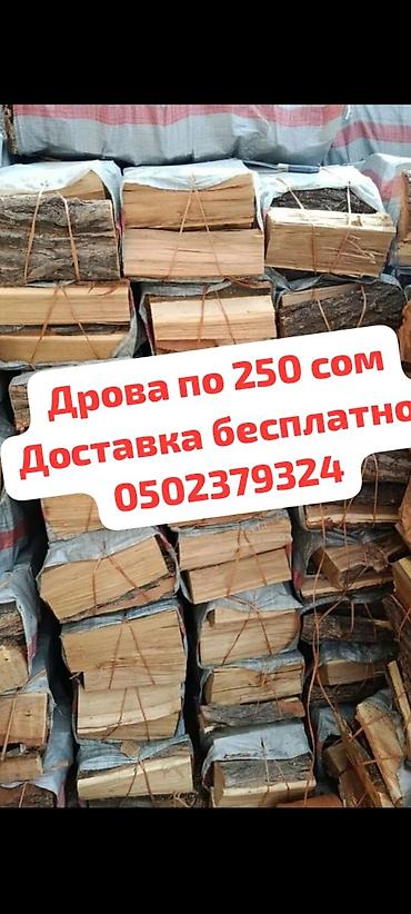 Дрова: Дрова — 3