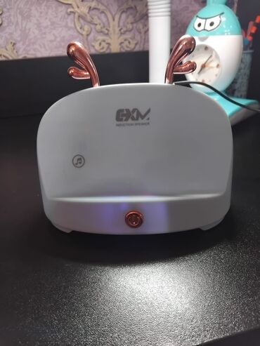 Усилители: GXM Induction Speaker – simsiz induksiya səsgücləndiricisi - Modell