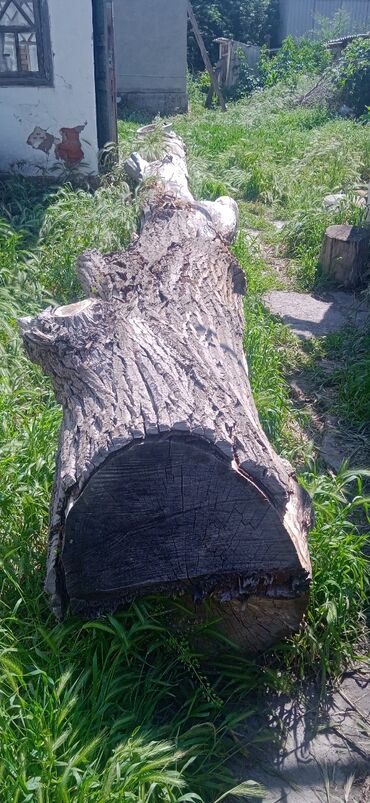 дрова в токмоке: Дрова Тополь, Самовывоз