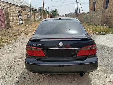 aveo 2006: Nissan Maxima: 3 l | 2006 il Sedan — 2