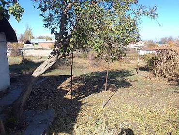 Продажа коттеджей и домов: Земельный участок с домом. Имеется две красные книги, договор купли — 11