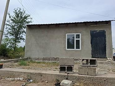 выход к речке: С КРАСНОЙ КНИГОЙ! Продаю уютный дом на даче не далеко от села Ново — 10