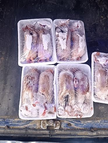 Digər quş: Ov quslari sezonu başladı. Qaşqaldaq - 9 AZN Gərəf (çöl quşu) - 7 AZN — 12
