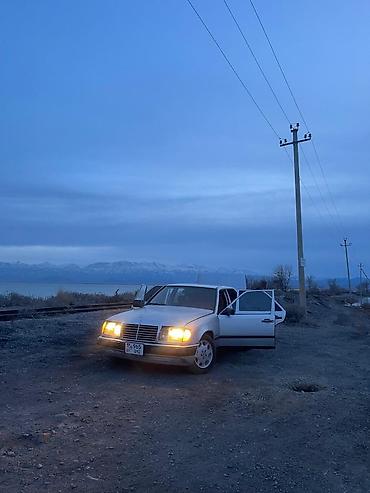 Mercedes-Benz: Mercedes-Benz E-Class: 1987 г., 2.9 л, Ручные, Дизель, Седан — 6