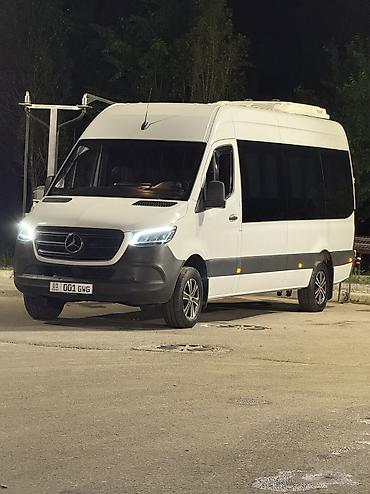 Баруучу жер: Кордай, Орундардын саны: 18, Лицензия №: 08B006136