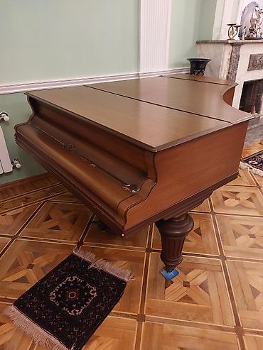 Musiqi alətləri: Royal orta vəziyyədə — 3