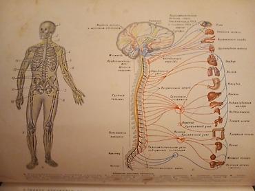 Ensiklopediyalar: Populyarnaya Meditsinskaya Entsiklopediya (rus dilində) очень много — 3