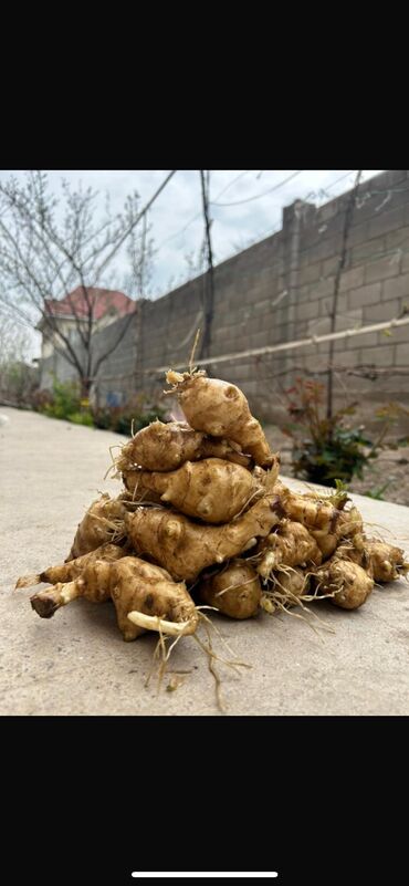 Дом и сад: Удобрение Самовывоз