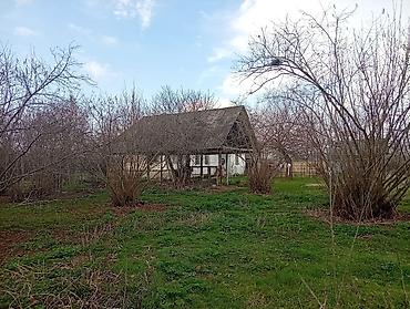 Torpaq sahələrinin satışı: 38 sot, Kənd təsərrüfatı, Mülkiyyətçi, Kupça (Çıxarış) — 7
