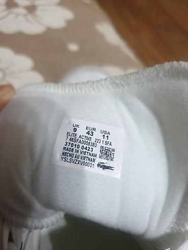 lacoste original: Мужские кроссовки, 42, Lacoste, Новый, цвет - Белый, Самовывоз — 6