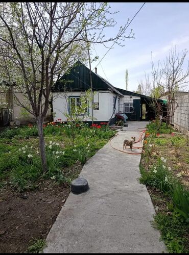 ала тоо дом купим: Дом, 40 м², 2 комнаты, Собственник