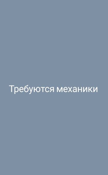 Экскаваторлор: Кого мы видим в этой должности: -Вы должны любить технику, -Вы должны