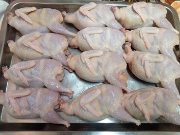 курс тоок: Покупаю перепелиное мясо, рассчет наличным, только с документами