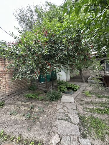 снять квартиру без риэлтора: 3 бөлмө, 58 кв. м, Жеке план, 1 кабат, Косметикалык ремонт