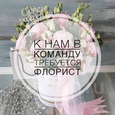 денежные букеты: Требуются Флористы в дружную команду! Город: Бишкек 1 локация Аламедин
