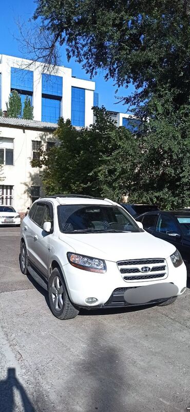 hyundai accent тагаз: Hyundai Santa Fe: 2008 г., 1.9 л, Автомат, Дизель, Внедорожник