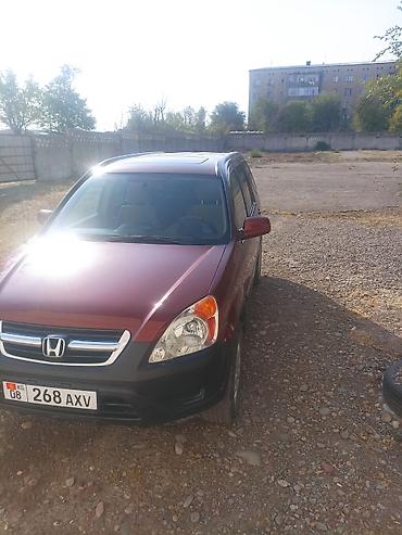 продажа срв: Honda CR-V: 2003 г., 2 л, Автомат, Бензин, Универсал — 9