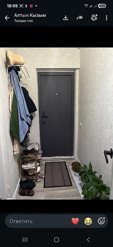 Кыймылсыз мүлк: 1 бөлмө, 366 м², 105-серия, 4 кабат, Евро оңдоо — 8