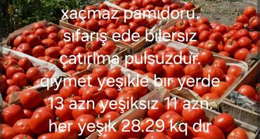 Şirniyyat məhsulları: Xacmaz pamıdoru yenı derlmış pamıdor gelır yuk maşını ıle ısdedynız