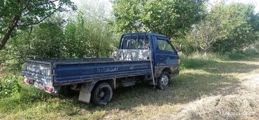 дробилка для сена: Легкий грузовик, Hyundai, Стандарт, 1,5 т, Б/у
